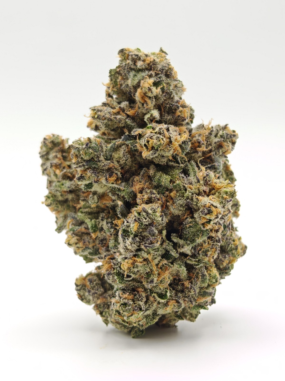PERMANENT PAYTON Indica Hybrid 28g - Image 2