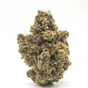 PERMANENT PAYTON Indica Hybrid 28g