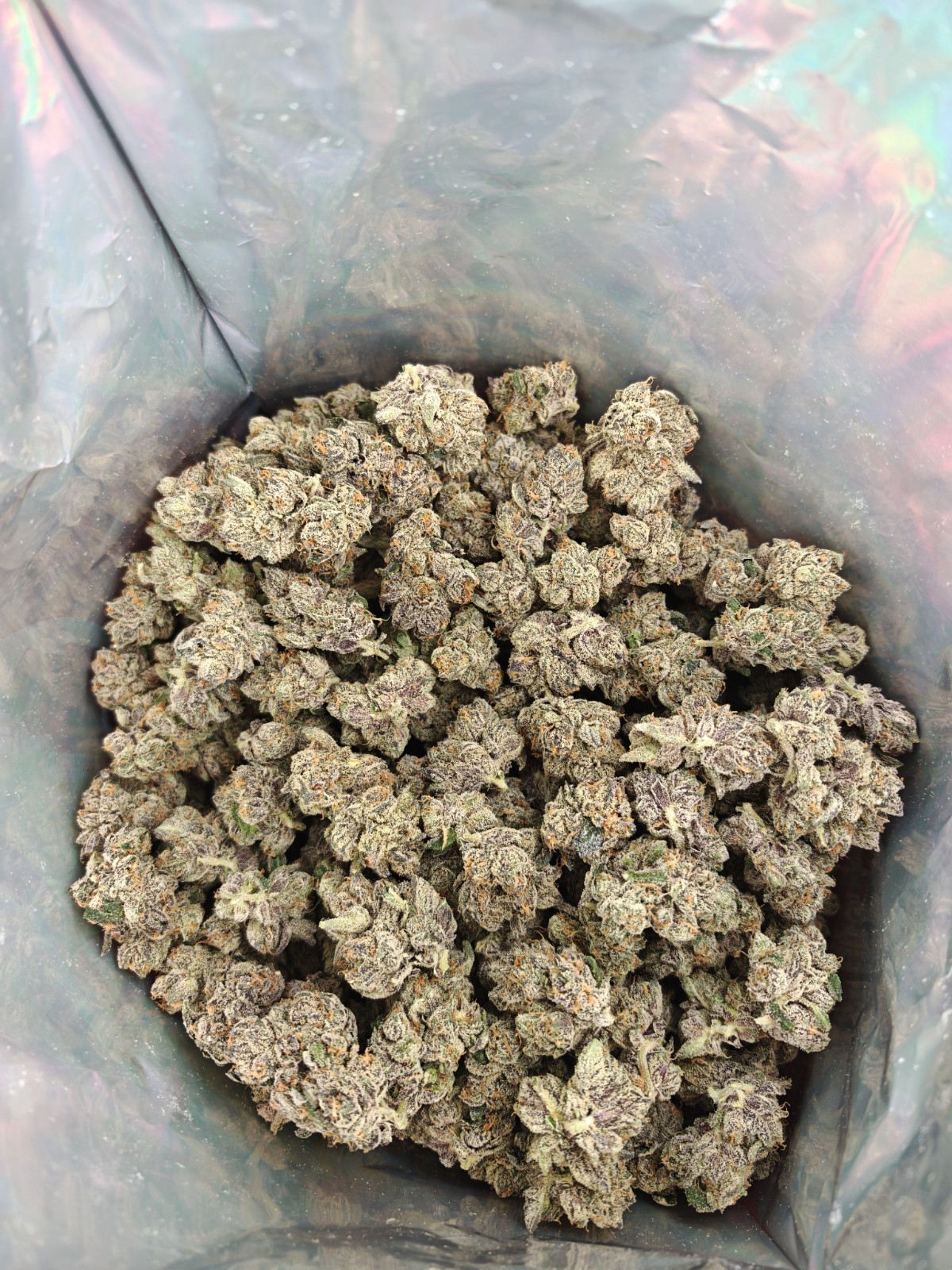 G3 Cultivator's SOUR PEACHES OG Indica Hybrid 28g - Image 2