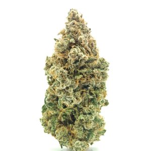 BLUE XJ-13 Sativa Hybrid