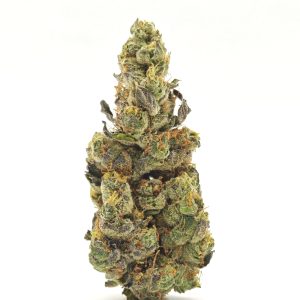 GMO Garlic Cookies Indica Hybrid 28g