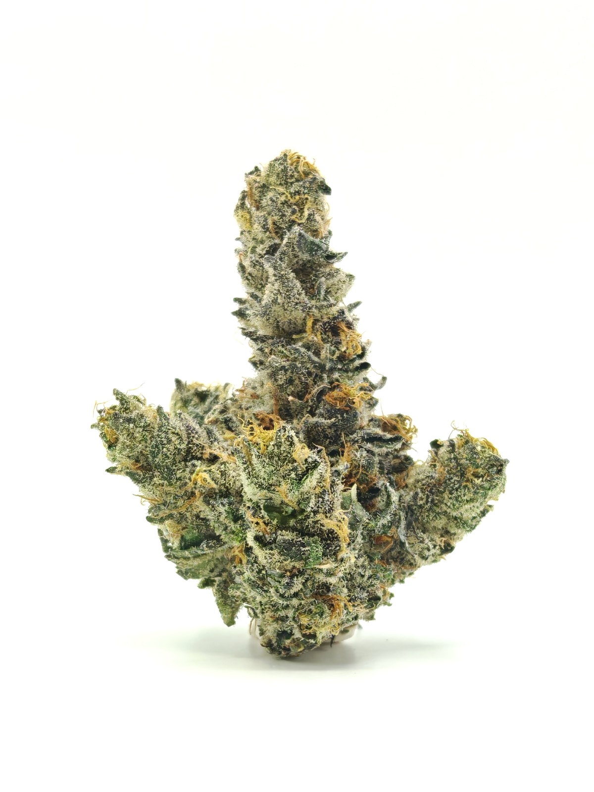 G3 YELLOW PASSION FRUIT Sativa Hybrid 28g