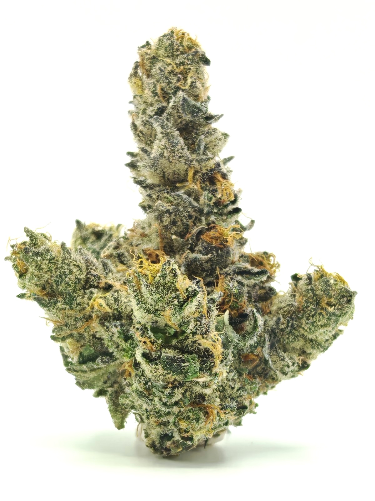 G3 YELLOW PASSION FRUIT Sativa Hybrid 28g - Image 2