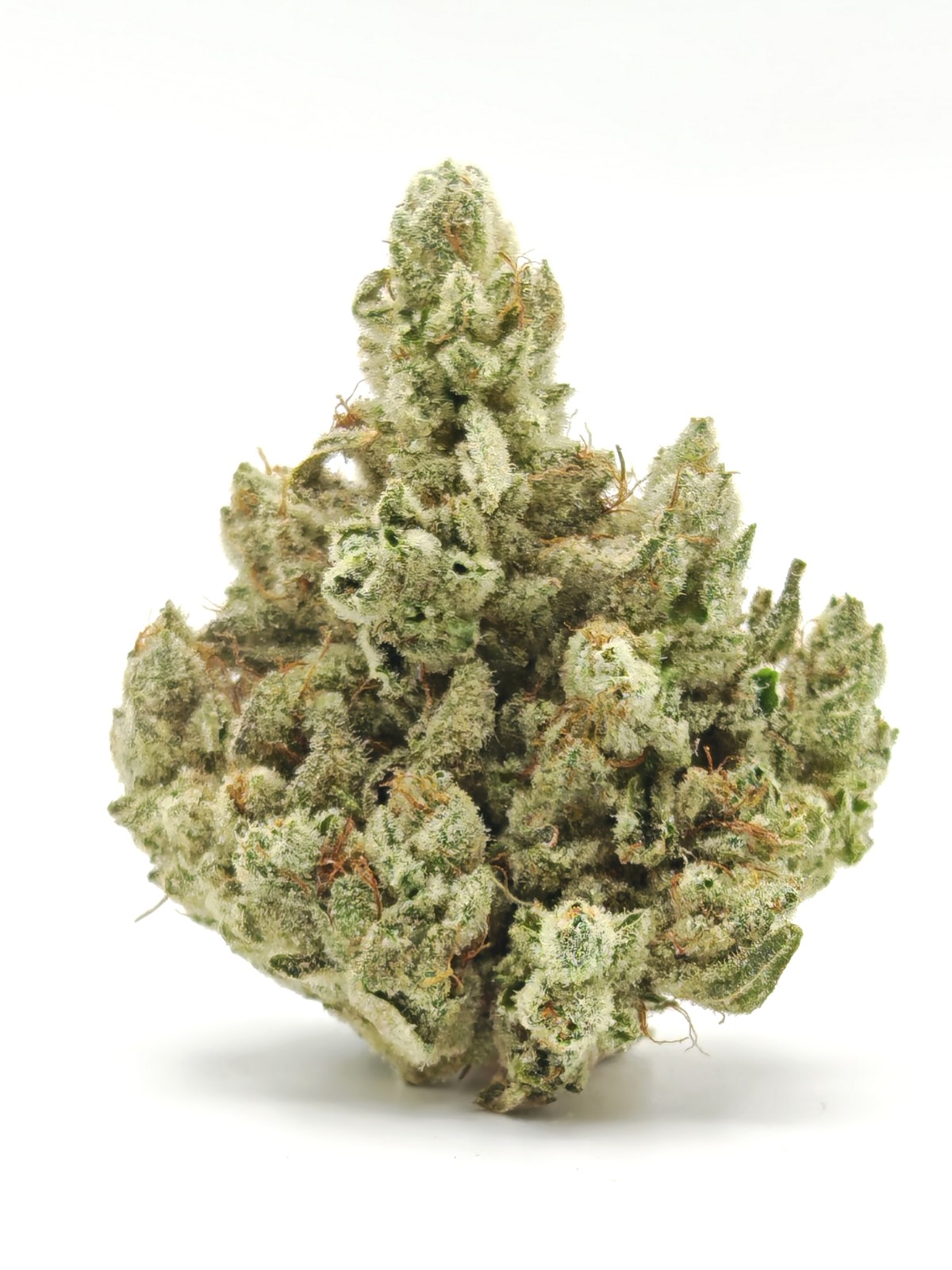 GORILLA GLUE Indica Hybrid 28g