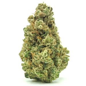 CANDY JACK Sativa 28g