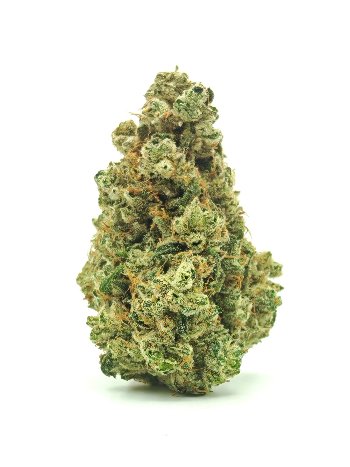 CANDY JACK Sativa 28g